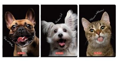 Opakowanie Zeszyt A4/60K kratka z marginesem Animals (5szt)