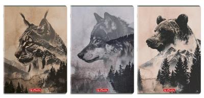 Opakowanie Zeszyt A4/96K linia Wild (5szt) HERLITZ