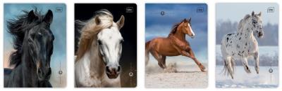 Opakowanie Zeszyt A5/16K 3kol linia UV Wild Horses (20szt)
