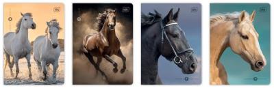 Opakowanie Zeszyt A5/16K kratka 70g UV Wild Horses (20szt)