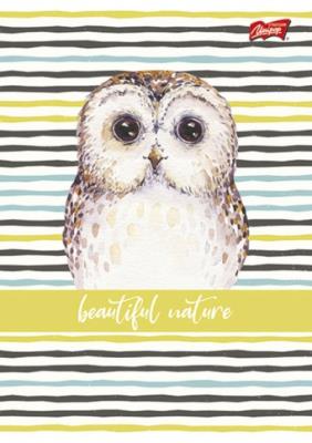 Opakowanie Zeszyt A5 16k linia dwukolorowa dziewczęcy pakiet 15 sztuk