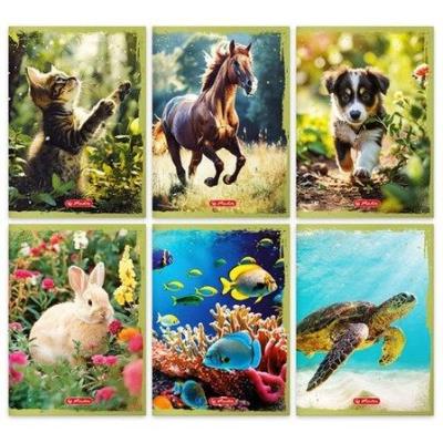 Opakowanie Zeszyt A5/16K linia podwójna Animals (20szt)