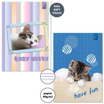 Zeszyt A5/32K 3-linie kolor 90g BF Cats (10szt). Wydawca: Bee-bee. SmakLiter.pl Opakowanie Zeszyt A5/32K 3-linie kolor 90g BF Cats (10szt)