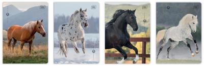 Opakowanie Zeszyt A5/32K 3kol linia 70g UV Wild Horses(10szt)