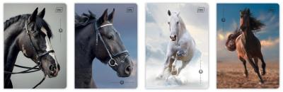 Opakowanie Zeszyt A5/32K kratka M 70g UV Wild Horses (10szt)