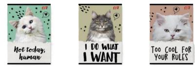 Zeszyt A5/32K linia dwukolorowa Caturday(15szt). Wydawca: UNIPAP. SmakLiter.pl Opakowanie Zeszyt A5/32K linia dwukolorowa Caturday(15szt)