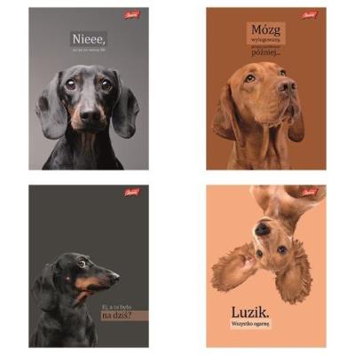 Opakowanie Zeszyt A5/60k linia Doggy Moods (10szt)