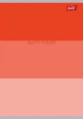 Zeszyt A5/60K linia Język Polski ze ściągą (10szt). Wydawca: UNIPAP. SmakLiter.pl Opakowanie Zeszyt A5/60K linia Język Polski ze ściągą (10szt)