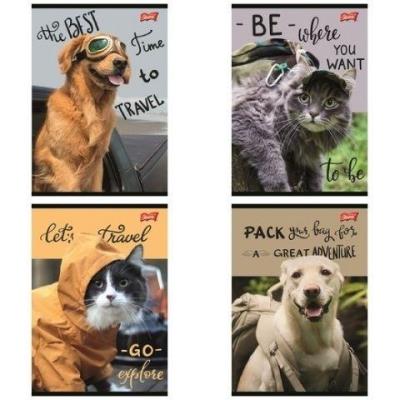 Zeszyt A5/60K linia Traveler (10szt). Wydawca: UNIPAP. SmakLiter.pl Opakowanie Zeszyt A5/60K linia Traveler (10szt)