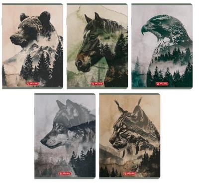 Opakowanie Zeszyt A5/60K linia Wild (10szt) HERLITZ