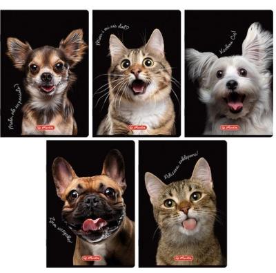 Opakowanie Zeszyt A5/60K linia z marginesem Animals (10szt)