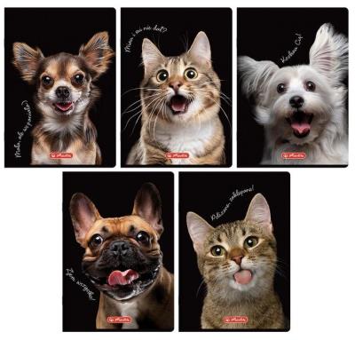 Opakowanie Zeszyt A6/32K kratka Crazy Animal MIX (12szt)