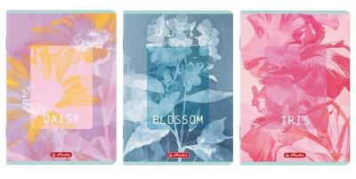 Opakowanie Zeszyt B5/80K kratka Blossom (5szt) HERLITZ