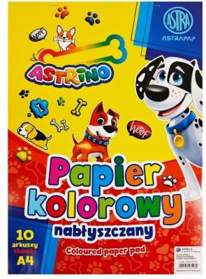 Opakowanie Zeszyt papierów kolorowych nabłyszczanych (10szt)