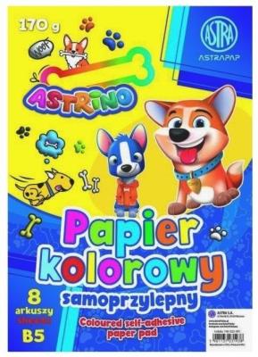 Opakowanie Zeszyt papierów kolorowych nabłyszczanych (10szt)