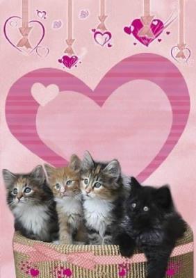 Opakowanie Zeszyt w linie. Kotki