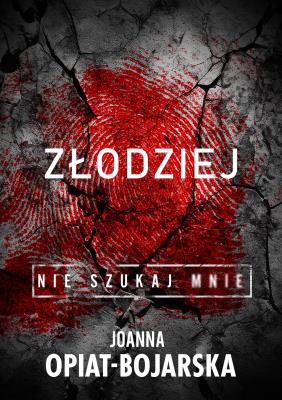 Złodziej. Nie szukaj mnie. Tom 1. Autor: Joanna Opiat-Bojarska. SmakLiter.pl Okładka książki Złodziej. Nie szukaj mnie. Tom 1