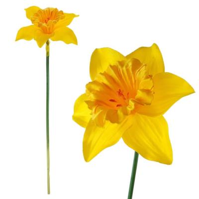 Żonkil. Wydawca: ARPEX. SmakLiter.pl Opakowanie Żonkil