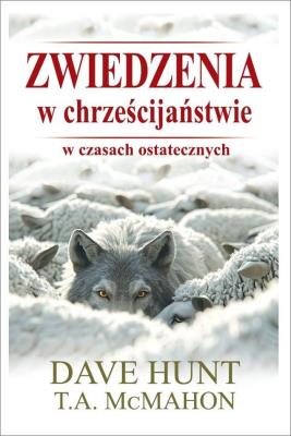 Okładka książki Zwiedzenia w chrześcijaństwie w czasach ostatecznych