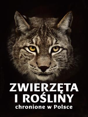 Zwierzęta i rośliny chronione w Polsce. Autor: Izabella Sieńko-Holewa, Weber Sylwia. SmakLiter.pl Okładka książki Zwierzęta i rośliny chronione w Polsce