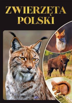 Zwierzęta Polski. Autor: Opracowanie zbiorowe. SmakLiter.pl Okładka książki Zwierzęta Polski