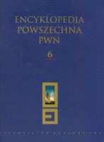 Opakowanie Encyklopedia Powszechna PWN t.6