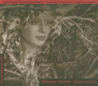 Sleepy forest. Autor: Brzozowski Michał, Brajter Tomasz, Werk Maciej. SmakLiter.pl Okładka książki Sleepy forest