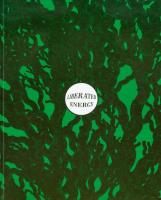 Liberated energy. Autor: red. Joanna Baranowska, Paweł Sztarbowski. SmakLiter.pl Okładka książki Liberated energy