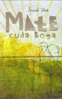 Małe cuda Boga. Autor: Włoch Dominik. SmakLiter.pl Okładka książki Małe cuda Boga