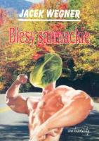Biesy sarmackie. Autor: Wegner Jacek. SmakLiter.pl Okładka książki Biesy sarmackie