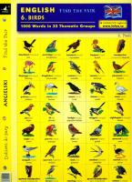 Angielski Dobierz do pary 6 Birds. Autor:   Praca zbiorowa. SmakLiter.pl Okładka książki Angielski Dobierz do pary 6 Birds