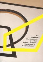 Film obyczajowy produkcji polskiej. Autor: Dąbrowski Kuba. SmakLiter.pl Okładka książki Film obyczajowy produkcji polskiej