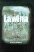 Okładka książki Lawina