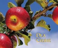 Perełka 120 - Dla Ciebie. Autor: PERELKA 120. SmakLiter.pl Okładka książki Perełka 120 - Dla Ciebie