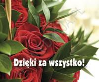 Perełka 191 - Dzięki za wszystko!. Autor: PERELKA 191. SmakLiter.pl Okładka książki Perełka 191 - Dzięki za wszystko!