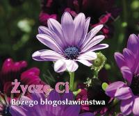 Okładka książki Perełka 215 - Życzę Ci Bożego błogosławieństwa.
