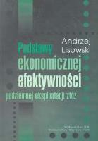 Okładka książki Podstawy ekonomicznej efektywności podziemnej eksploatacji złóż