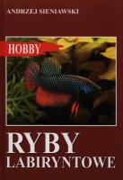 Ryby labiryntowe. Autor: Sieniawski Andrzej. SmakLiter.pl Okładka książki Ryby labiryntowe