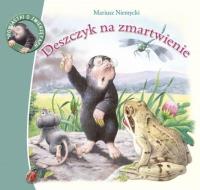 Deszczyk na zmartwienie. Autor: Mariusz Niemycki. SmakLiter.pl Okładka książki Deszczyk na zmartwienie
