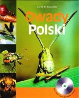 Okładka książki Owady Polski