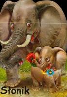 Słonik LIWONA. Autor: Wejner Rafał. SmakLiter.pl Okładka książki Słonik LIWONA