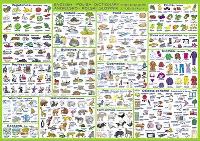 Opakowanie Podkład na biurko oklejany. Słownik polsko-angielski