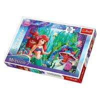 Okładka książki Puzzle 100 Zabawa w chowanego Princess TREFL