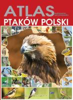 Atlas ptaków Polski TW. Autor: Opracowanie zbiorowe. SmakLiter.pl Okładka książki Atlas ptaków Polski TW