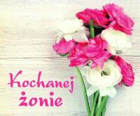 Perełka 249 Kochanej żonie. Autor: Opracowanie zbiorowe. SmakLiter.pl Okładka książki Perełka 249 Kochanej żonie