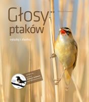 Głosy ptaków T.2. Autor: Kruszewicz Andrzej G.. SmakLiter.pl Okładka książki Głosy ptaków T.2