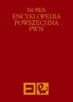 Opakowanie Nowa Encyklopedia Powszechna Tom 6