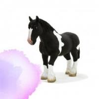 Opakowanie Czarno-biały koń rasy Clydesdale ANIMAL PLANET