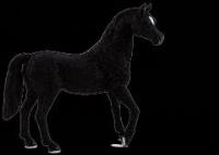 Opakowanie Czarny ogier rasy arabskiej ANIMAL PLANET