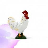 Opakowanie Kogut ANIMAL PLANET